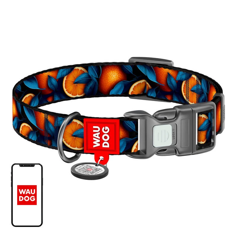 WAUDOG 281-4054 Oranges Nylon dog collar with QR code M