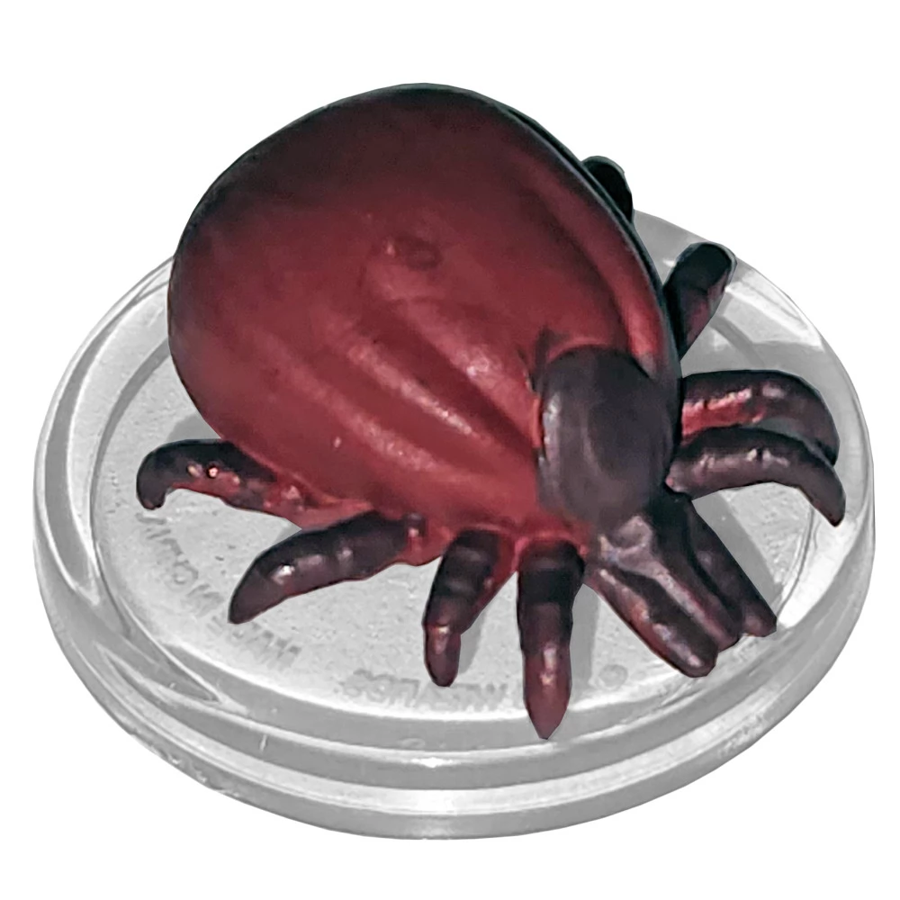 WIZK!DS D&D Icons of the Realms - Bigby Presents: Glory of the Giants Giant Tick kalandjáték figura