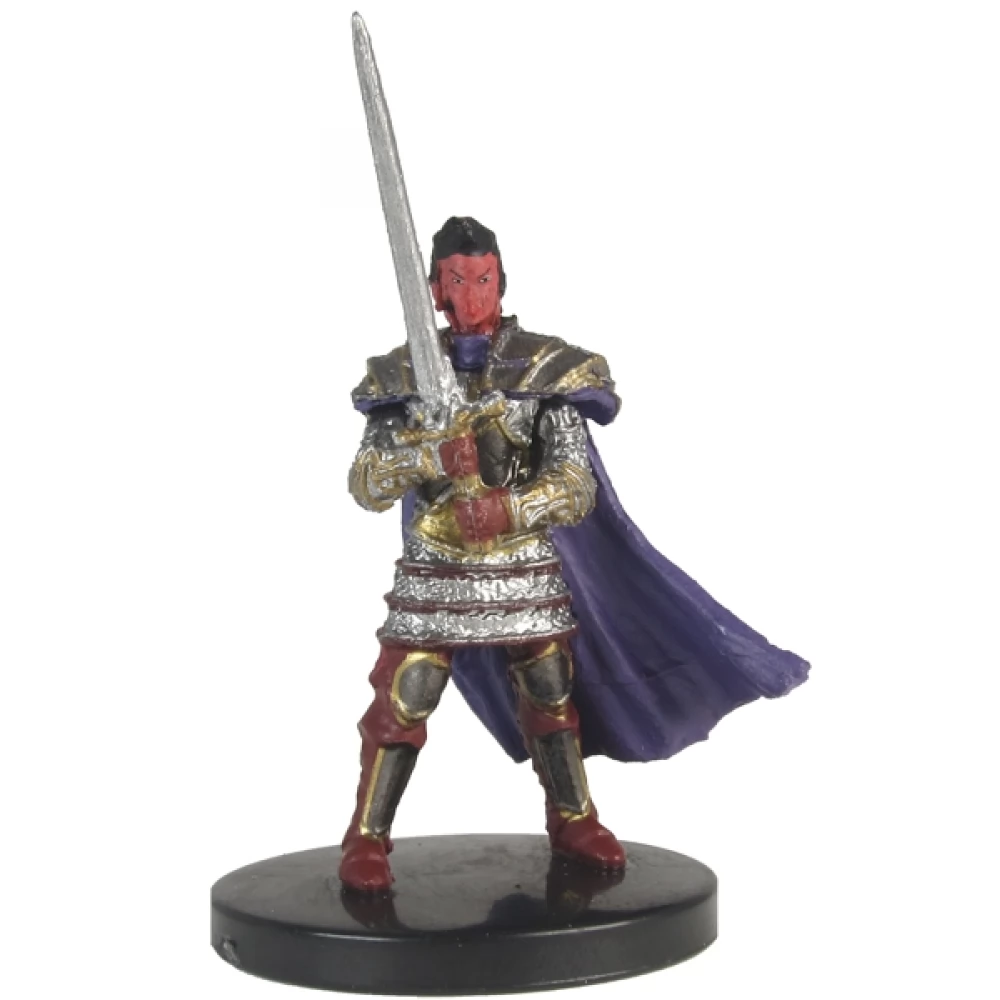 WIZK!DS D&D Icons of the Realms - Waterdeep Dungeon of the Mad Mage Human Paladin of the Oath of Vengeance kalandjáték figura